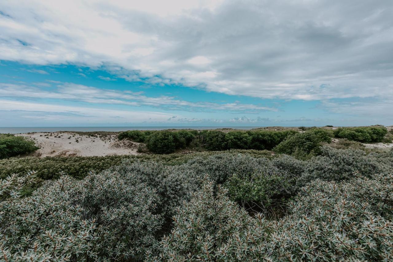Zuiders Appartement Op 150M Van Duinen En Strand เบรเดเน ภายนอก รูปภาพ